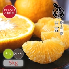 �ڽϡ��Ųơ� 2L/3L������ 5kg �ۤ�������