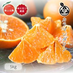 ����ޥ������ L~3L������ 5kg ��