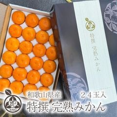 ������ ���� ���Ϥߤ���� ���� M ������ 24������ �ۥ��ꥸ�ʥ륮�եȥܥå�������