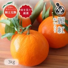 �²λ����� ��ȡ� L~3L ������ 3kg ��