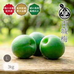 �²λ����� �ž��� �������� ����̵�� <br>�� L ������ 3kg ��