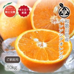 �� �Х�󥷥�����󥸡� ������ L~3L 10kg ��