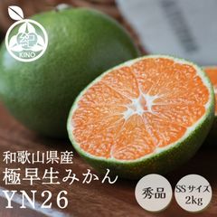 ������ �ߤ��� YN26 ����̵�� �� ���� SS ������ 2kg ��