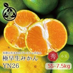 ������ �ߤ��� YN26 ����̵�� �� ���� SS ������ 7.5kg ��