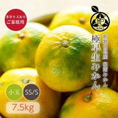 �������ߤ��� ����̵�� �� SS/S ������ 7.5kg ��¿���������ꤴ������