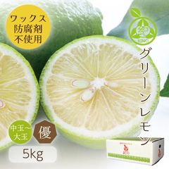���� �� ����̵�� �� ¿���������� �������� 5kg ��