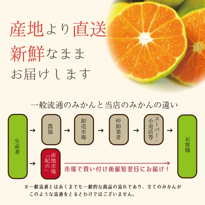 �������ߤ��� ����̵�� �� M/L ������ 3kg ��¿���������ꤴ������