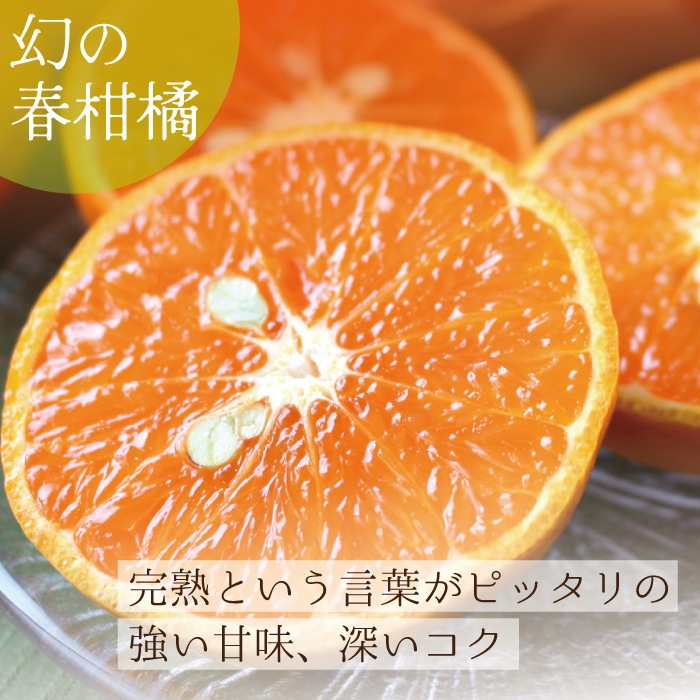 ����ޥ������ L~3L������ 3kg ��