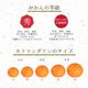 ����ޥ������ L~3L������ 3kg ��