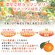 ����ޥ������ L~3L������ 3kg ��