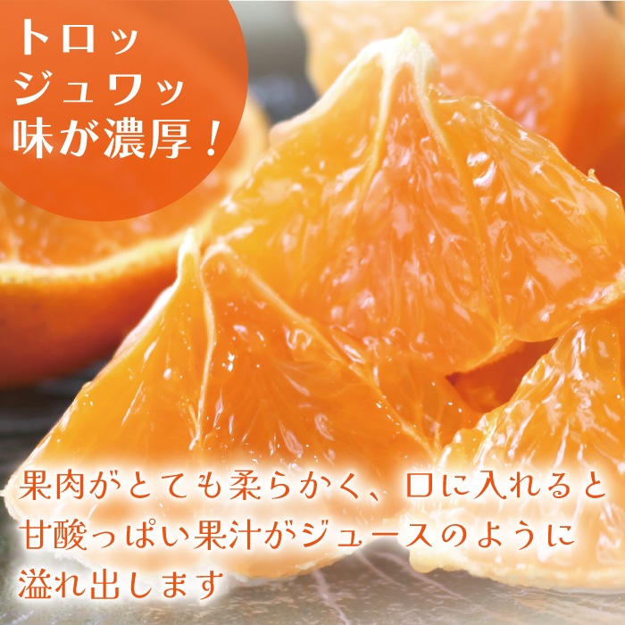 ����ޥ������ L~3L������ 5kg ��