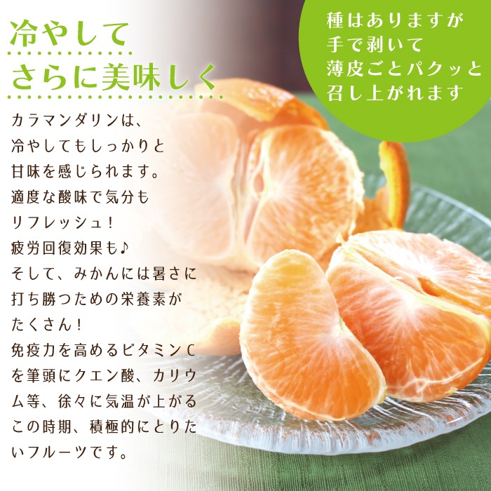 ����ޥ������ L~3L������ 5kg ��