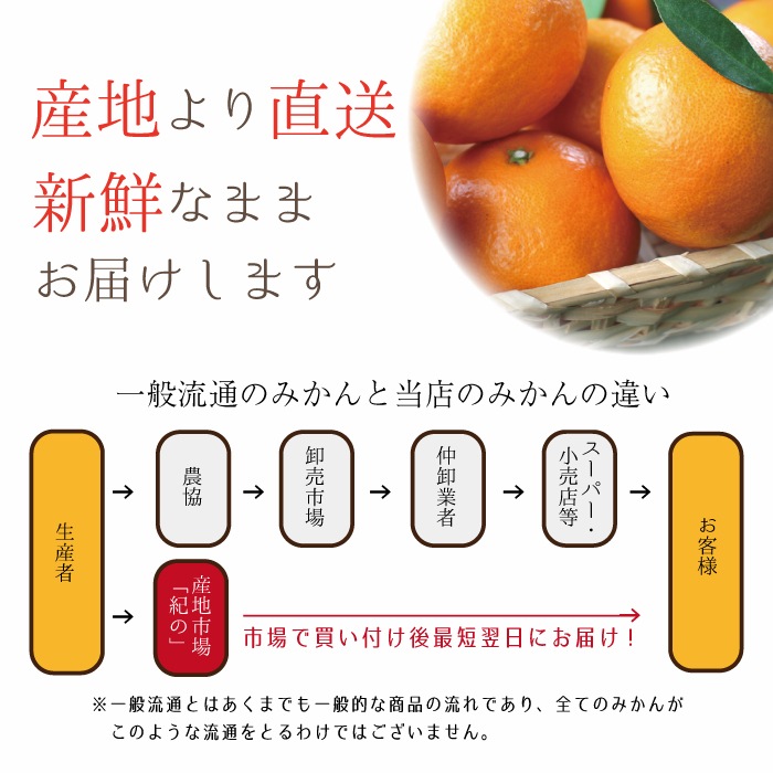 ����ޥ������ L~3L������ 5kg ��