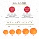 ����ޥ������ L~3L������ 5kg ��