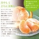 ����ޥ������ L~3L������ 5kg ��