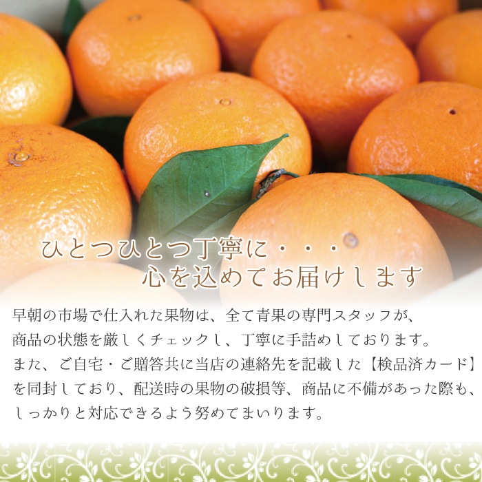 ����ޥ������ L~3L������ 10kg ��