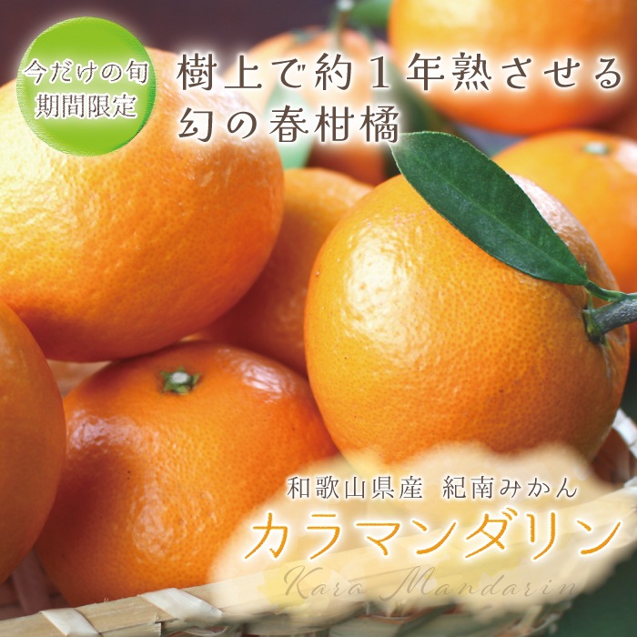 ����ޥ������ L~3L������ 10kg ��