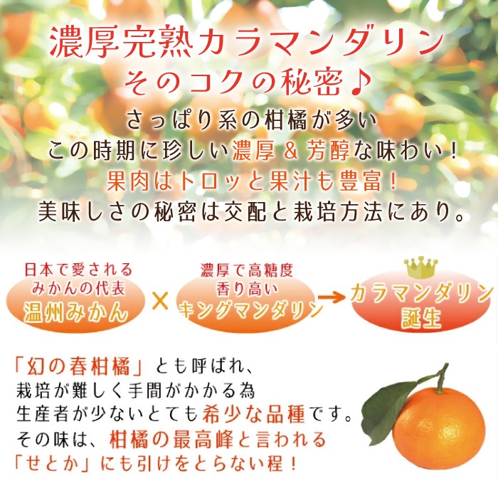 ����ޥ������ L~3L������ 10kg ��