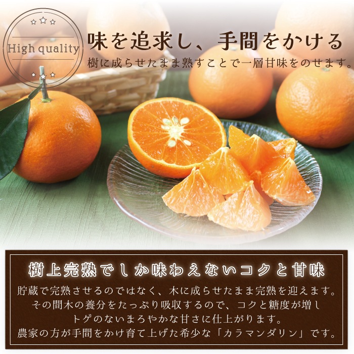 ����ޥ������ L~3L������ 10kg ��