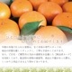 ����ޥ������ L~3L������ 10kg ��