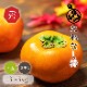 ���ͤʤ� �� ����̵���� ���� 3L ������ ��3kg ��