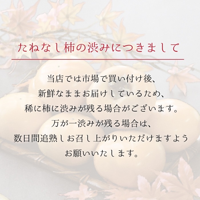 ���ͤʤ� �� ����̵���� 3L ������ ��3kg ��