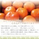 ���ٻ� ��ͭ���� ���� ��L����������3.5kg������������۲���Ȣ����