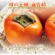 ���ٻ� ��ͭ���� ���� ��L����������3.5kg������������۲���Ȣ����