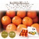 ���ٻ� ��ͭ���� ���� ��L����������3.5kg������������۲���Ȣ����