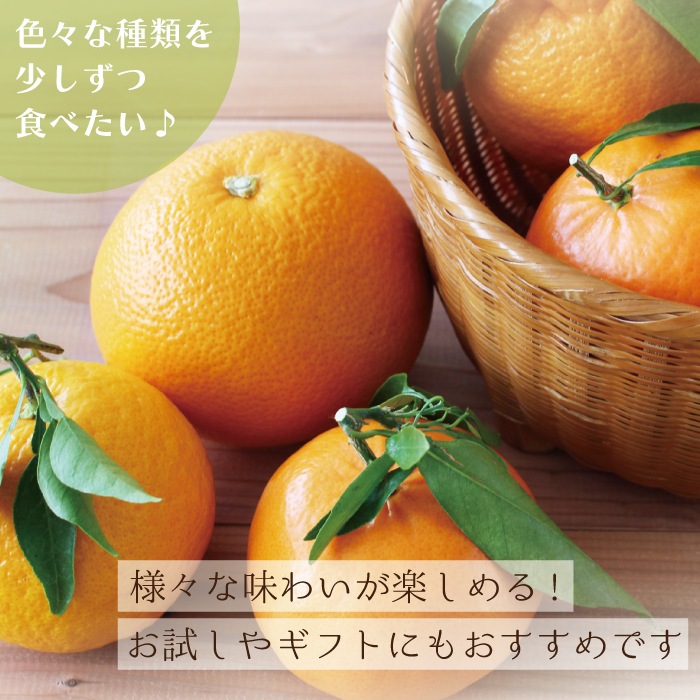 �ܤΤߤ���ͤ��碌�� ���� ��kg ��