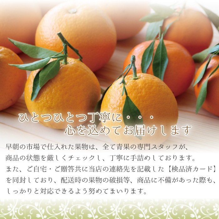 �ܤΤߤ���ͤ��碌�� ���� ��kg ��