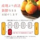 ���βС�����̤��� ��3L������(���)��3kg�ۤ�������