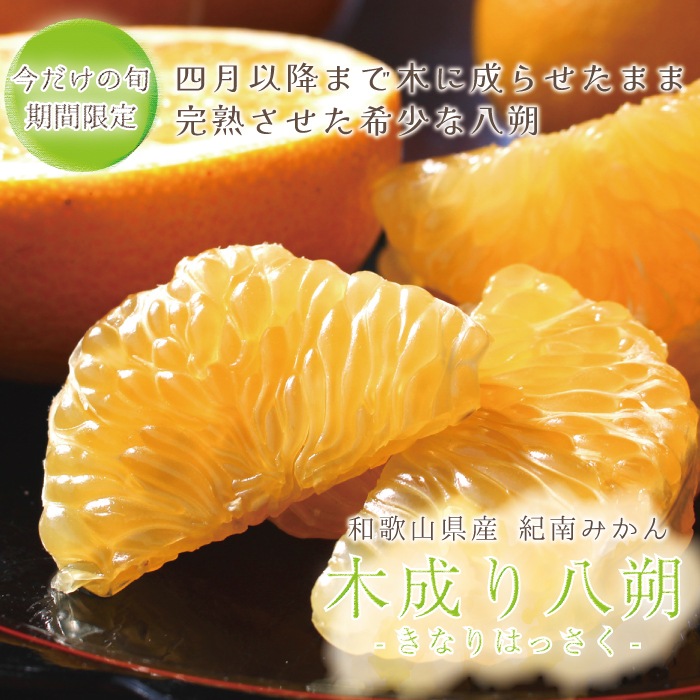 ������ Ȭ��� ���� 2L/3L ������ 5kg ��
