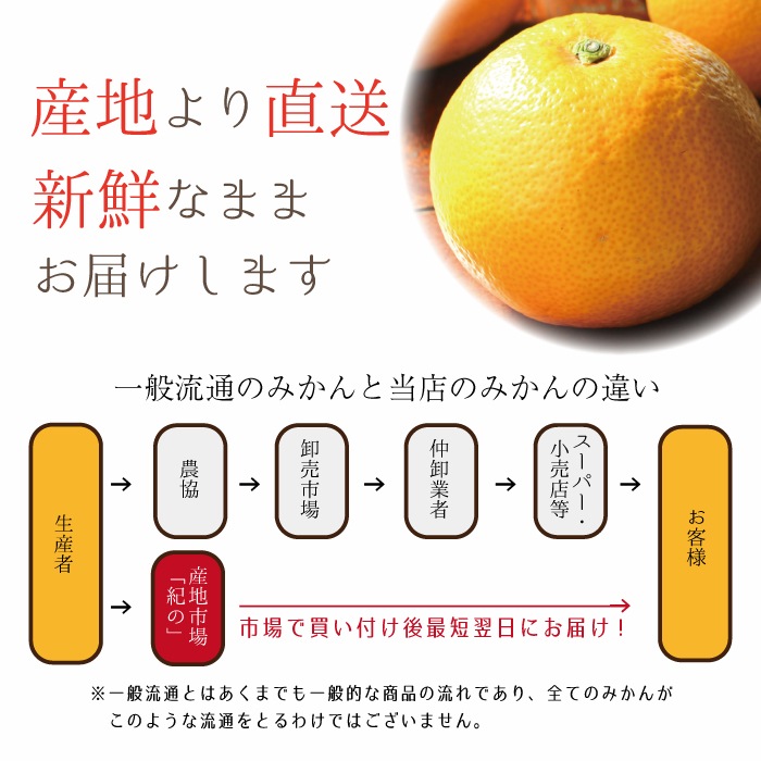 ������ Ȭ��� ���� 2L/3L ������ 5kg ��