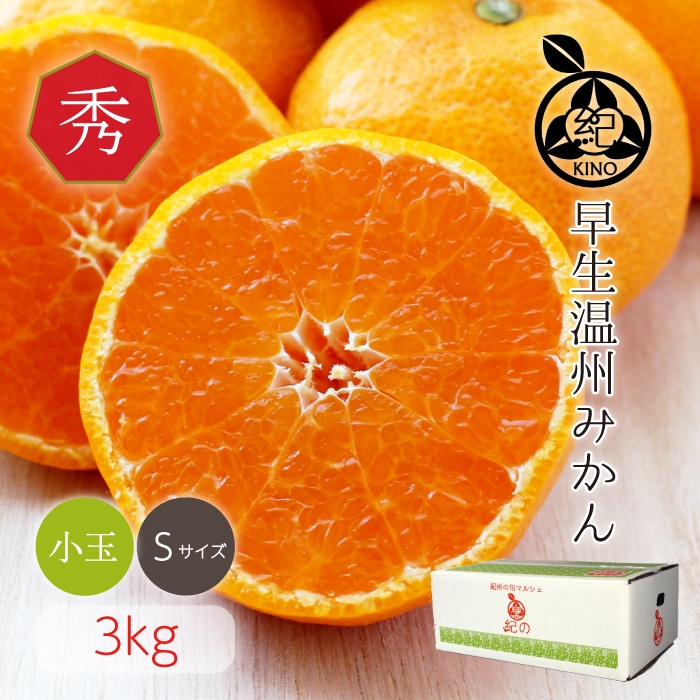 早生温州みかん【 秀品 S サイズ 3kg 】 | みかん,早生温州みかん