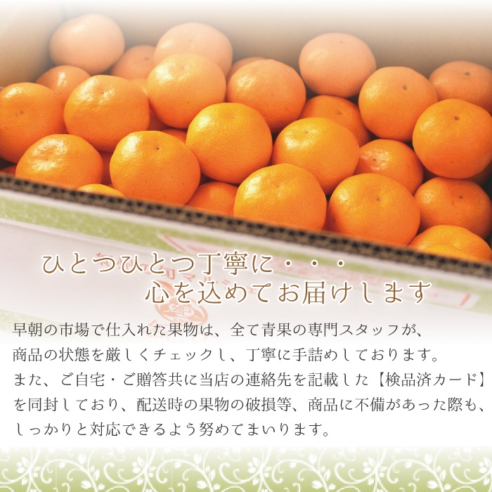 ���������ߤ���� ���� S ������ 10kg ��
