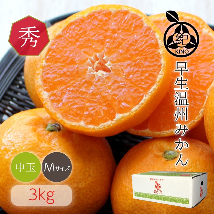 ���������ߤ���� ���� M ������ 3kg ��