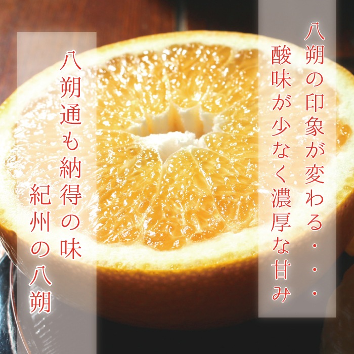 ������ Ȭ��� ���� L ������ 10kg ��