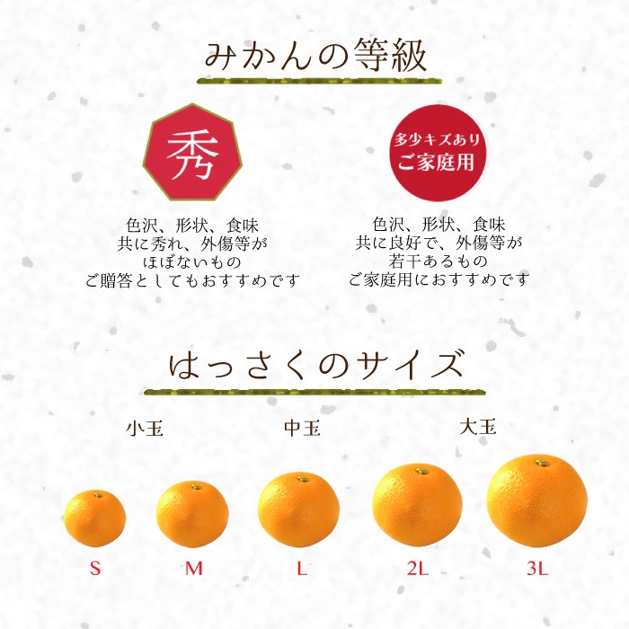 ������ Ȭ��� ���� L ������ 10kg ��