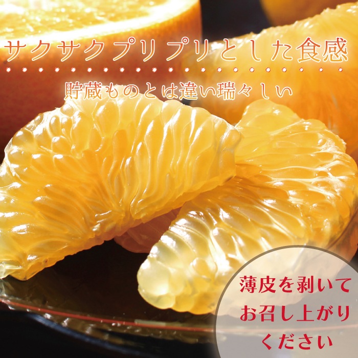 ������ Ȭ��� L/2L ������ 5kg �ۤ�������