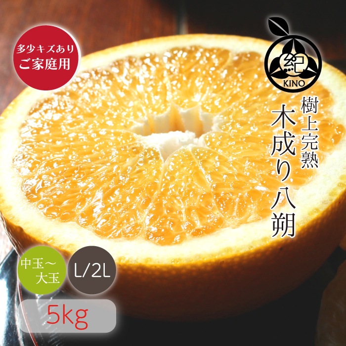 ������ Ȭ��� L/2L ������ 5kg �ۤ�������