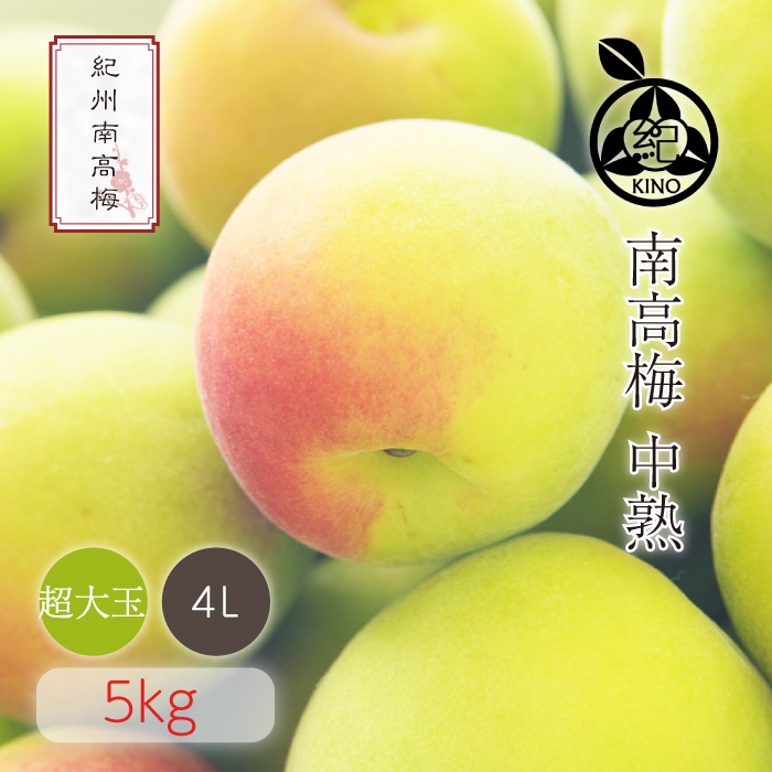南高梅 中熟 本場紀州産 クール便 送料無料<br> 【 4L サイズ
