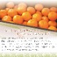 ���������ߤ���� ���� M ������ 5kg ��