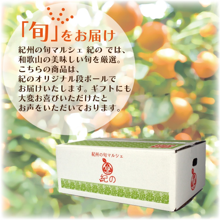 ������ Ȭ��� L/2L ������ 10kg �ۤ������ѡ�