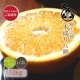 ������ Ȭ��� L/2L ������ 10kg �ۤ������ѡ�