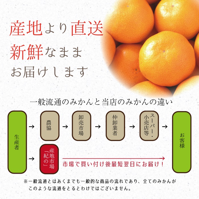 ���������ߤ���� ���� L ������ 10kg ��