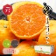 ���������ߤ���� ���� L ������ 10kg ��