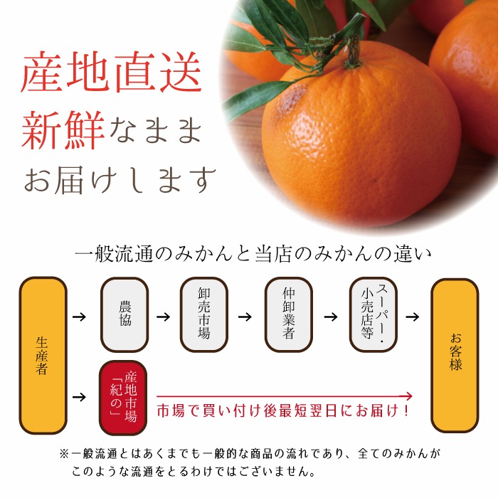 �²λ����� ������ L~3L ������ 5kg ��