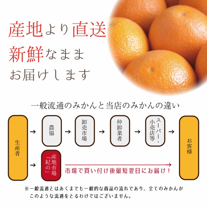 �� �Х�󥷥������ �� L/2L/3L������ 3kg �� ��������