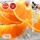 �� �Х�󥷥�����󥸡� 2L/3L����̤�����̡�3kg ��